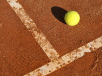 Tennis Wetten je nach Belag mit Spieler-Ergebnis-Datenbank - Sportwetten-Strategie von Andreas