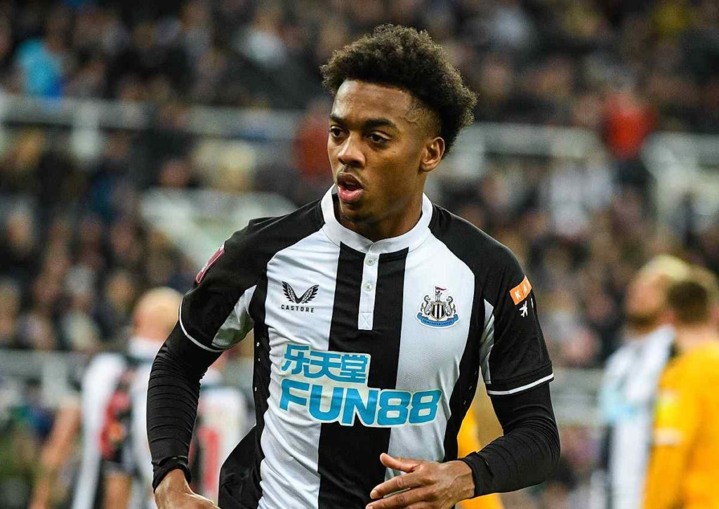 Newcastle Watford Tipp