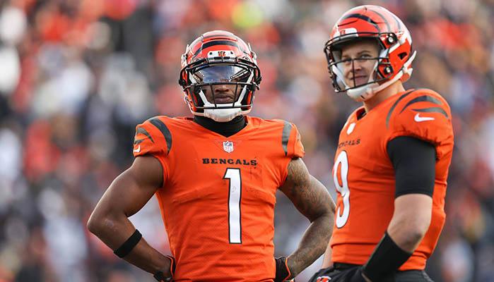 NFL Divisional Round 2022