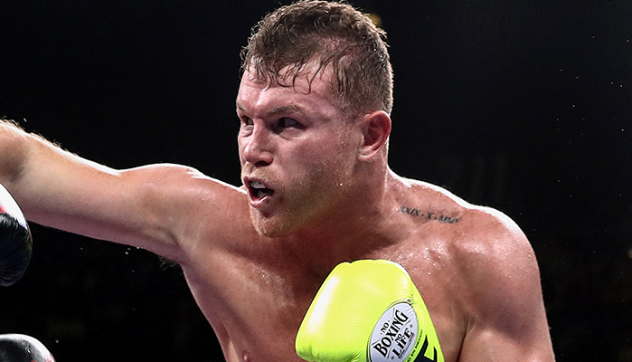 canelo vs bivol