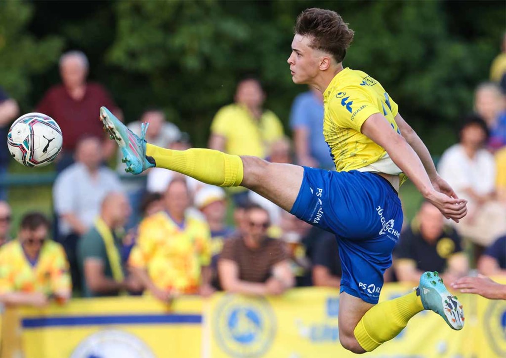 Vienna Wiener Sportklub Tipp