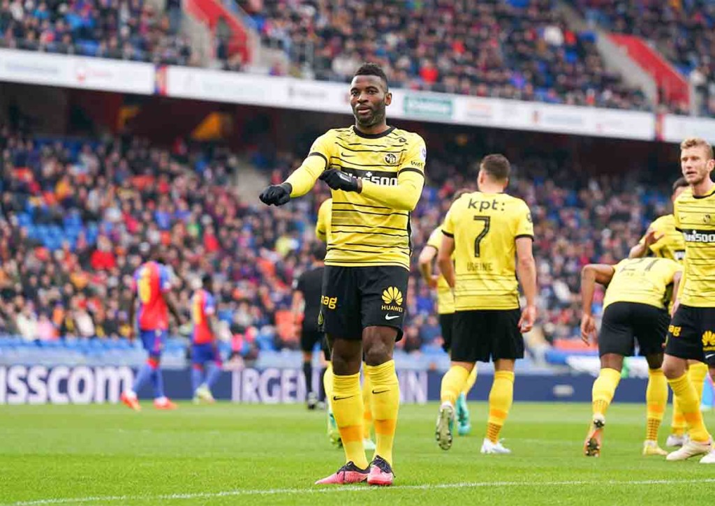 Grasshoppers Young Boys Tipp