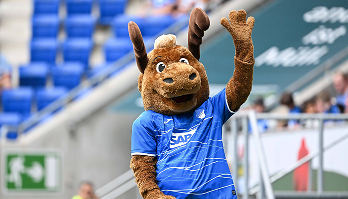 Jobs Fußball Bundesliga Stellen