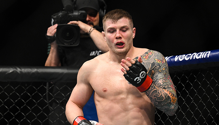 vettori vs cannonier