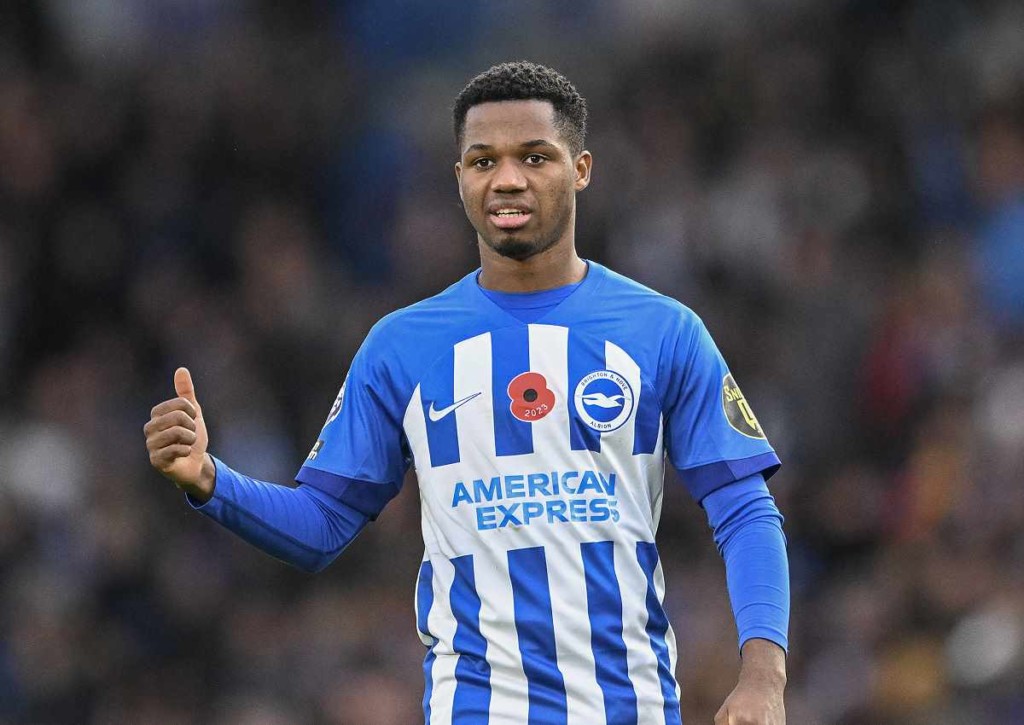 Nottingham Brighton Tipp