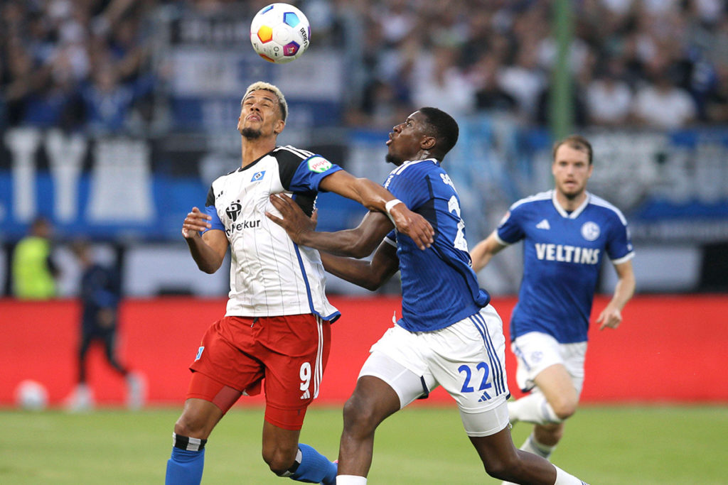 Schalke HSV Übertragung