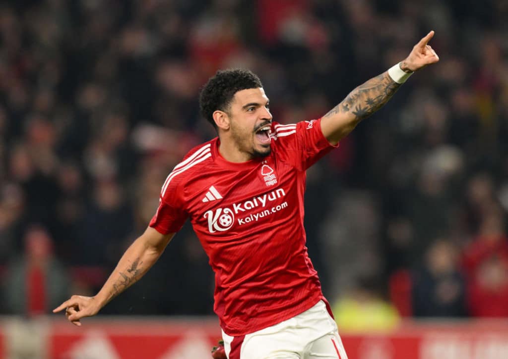 Brighton Nottingham Tipp