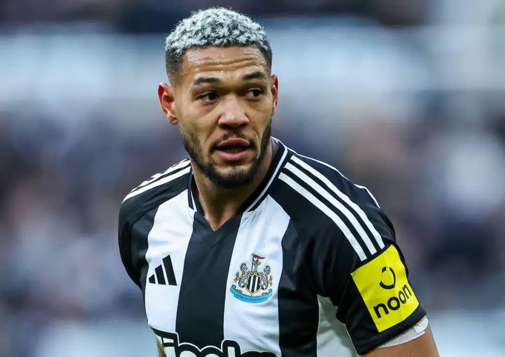 Newcastle Ipswich Tipp