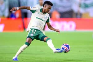 Palmeiras Botafogo