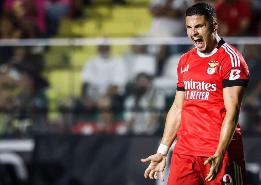 Fenerbahce Benfica Lissabon Tipp