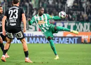 SK Rapid Wolfsberg Tipp