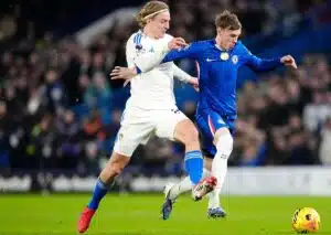 Hull Chelsea Tipp