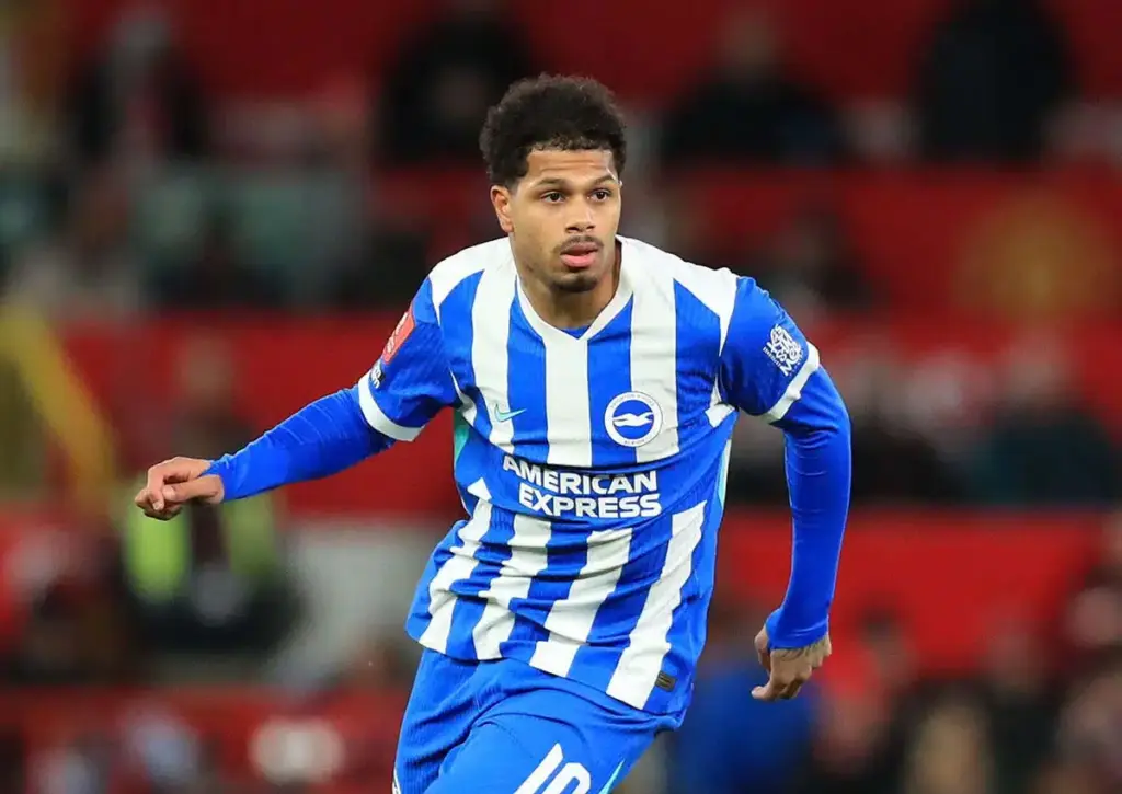 Brighton Liverpool Tipp