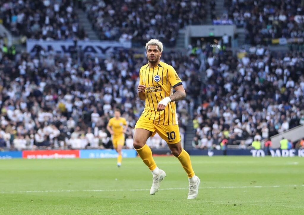 Brighton Chelsea Tipp