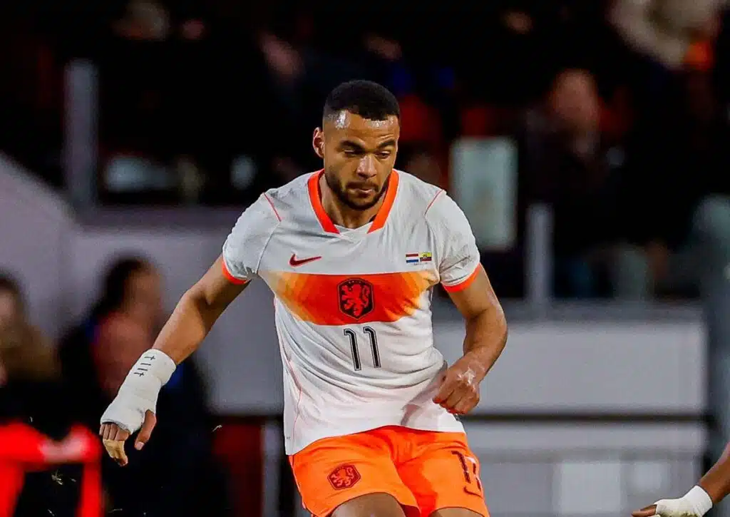 Niederlande Algerien Tipp